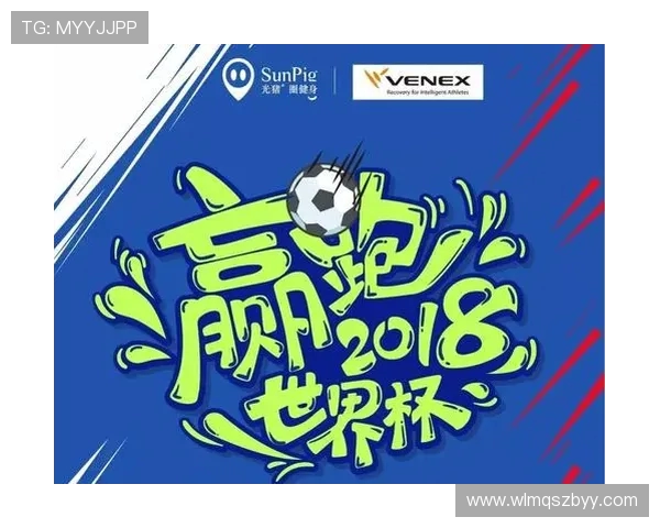 世界杯期间针对全球球迷的在线投票系统谈